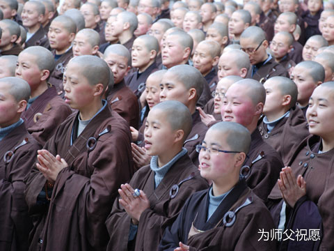 「佛教」高树毗尼风范——2011年普寿寺夏安居 「佛教」高树毗尼风范——2011年普寿寺夏安居