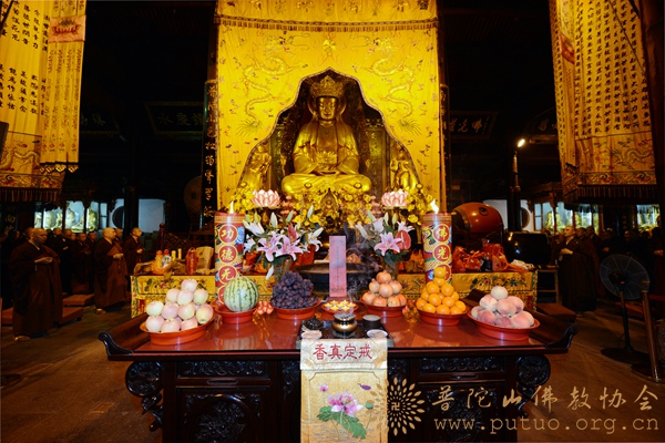 「普陀山」浙江普陀山全山僧众为天津爆炸受伤者诵经祈福