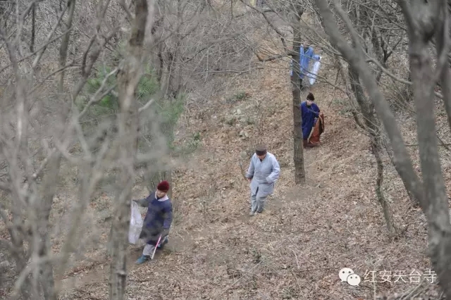 「佛教」别样春节之深山里的僧人环卫员