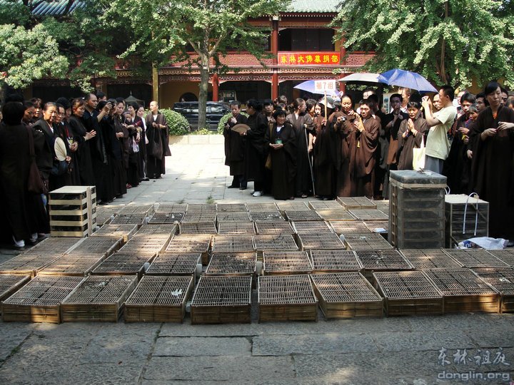 「佛教」弘法人才培训班结业,东林护生会组织放生 「佛教」弘法人才培训班结业,东林护生会组织放生