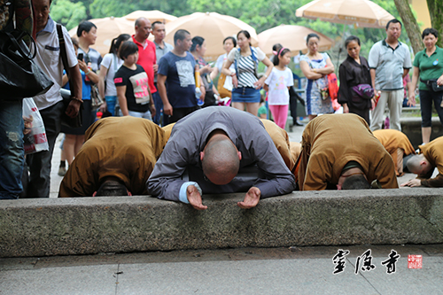 「普陀山」浙江灵隐寺方丈光泉大和尚率众三步一拜朝圣普陀山