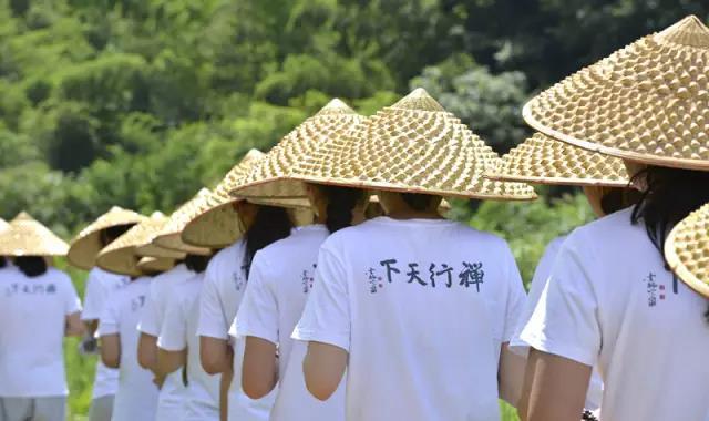 「灵隐寺」灵隐寺2017【禅修天下】修学营