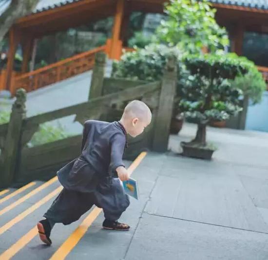 「灵隐寺」灵隐寺两岁“小和尚”萌爆网络