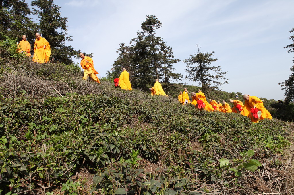 「红安」天赐祥瑞，红安天台寺“一会一节”圆满落幕
