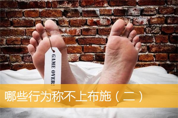 「文化」哪些行为称不上布施（二）