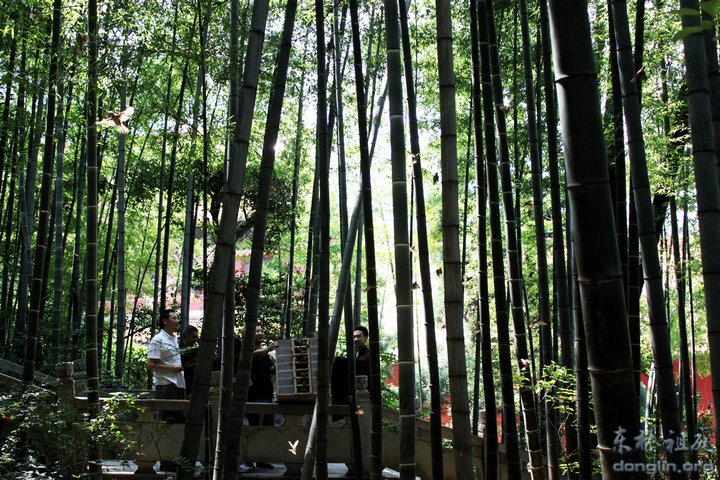 「佛教」弘法人才培训班结业,东林护生会组织放生 「佛教」弘法人才培训班结业,东林护生会组织放生