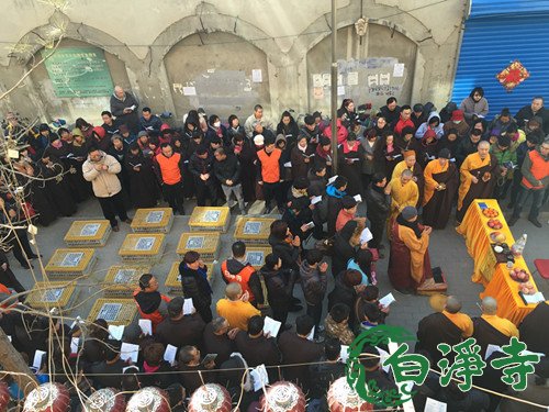 「佛教」河北廊坊白净寺举行放生暨顺星君祈福大法会