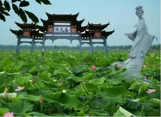 「佛教」全国各地佛七日程，你最神往去哪里？