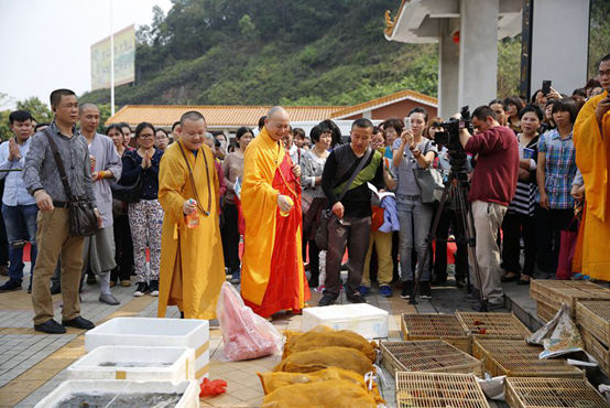 「传喜法师」祈福广东 吉祥人生——慧日禅寺传喜法师羊年正月广东弘法行