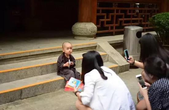 「灵隐寺」灵隐寺两岁“小和尚”萌爆网络