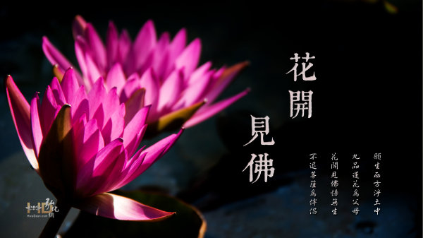 「念佛」觉明妙行菩萨往昔念佛七日即身成就的事迹及其念佛精要开示