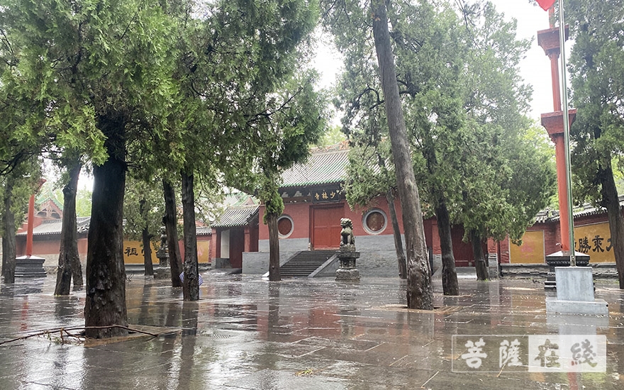 「防洪」人员安全！已无积水！直击河南重点寺院防汛恢复现场