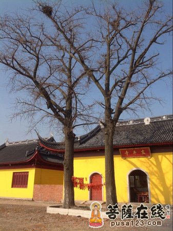 「佛教」(1.27)江苏省江阴市东平寺举行释迦牟尼佛开光法会 「佛教」(1.27)江苏省江阴市东平寺举行释迦牟尼佛开光法会