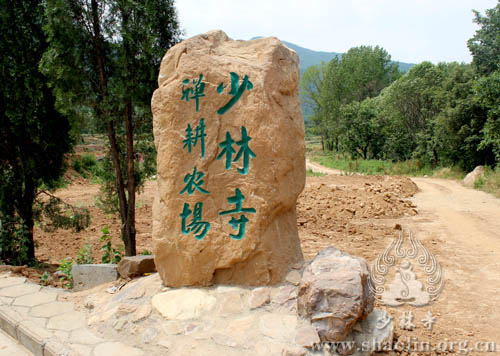 「少林寺」坚守农禅并重传统:河南嵩山少林寺禅耕农场麦收正当时