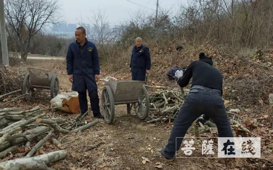 「佛教」抢抓农时,自力更生,湖北各寺掀起春耕生产热潮 「佛教」抢抓农时,自力更生,湖北各寺掀起春耕生产热潮