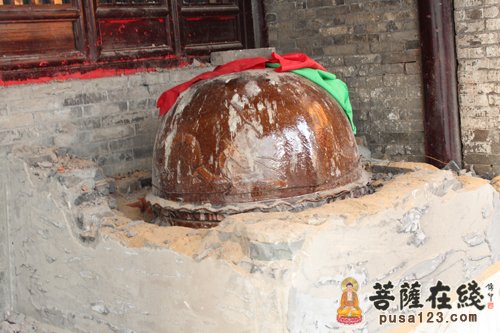 「姜堰」江苏姜堰绿树禅寺举行净怀法师圆满开缸仪式