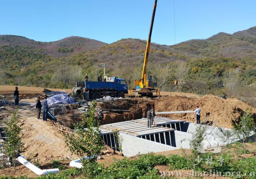 「少林寺」河南嵩山少林寺禅耕农场大丰收 绿色蔬菜助力僧众安心办道