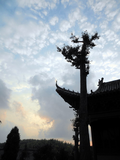 「鬼灯水月」水月清梅：法眼云霞无限美，禅修日日无终期