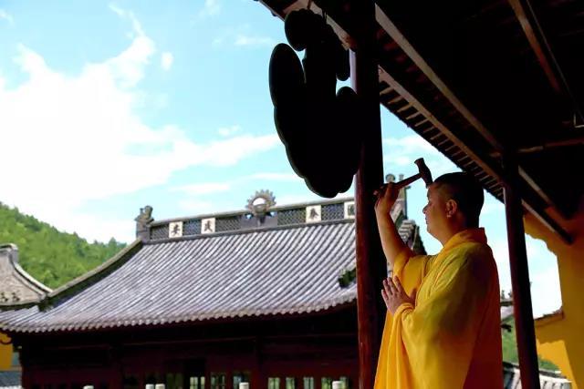 「灵隐寺」灵隐寺2017【禅修天下】修学营