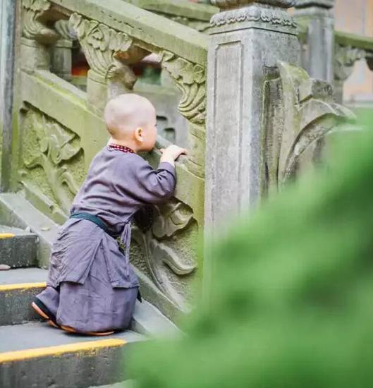 「灵隐寺」灵隐寺两岁“小和尚”萌爆网络