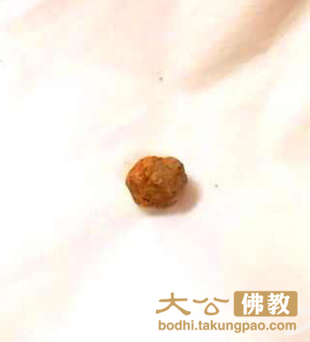 「佛教」觉真长老法体荼毗圆满并现稀有心脑舍利 「佛教」觉真长老法体荼毗圆满并现稀有心脑舍利