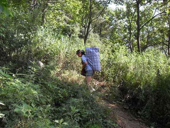 「终南山」终南山护僧随感
