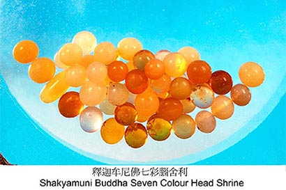 「释迦牟尼」见者得福，释迦牟尼舍利