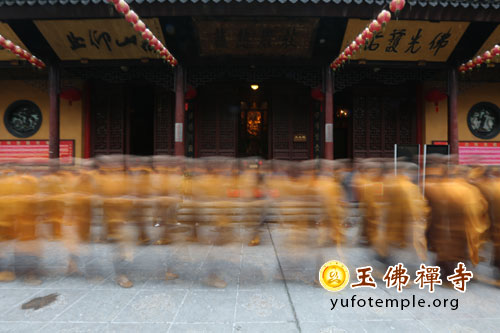 「玉佛寺」上海玉佛寺“玉佛问禅”第一期二日禅修课程圆满结束