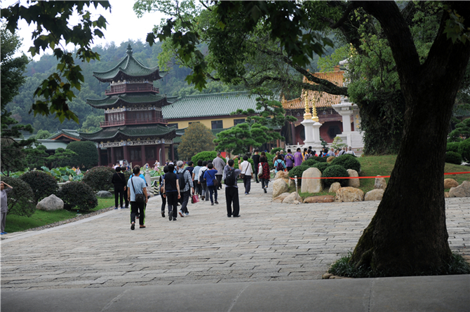 「东林寺」他的一个暖心善举，让游客不再是“过客”