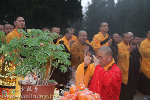 「少林寺」河南嵩山少林寺举行清明祭祖祈福法会