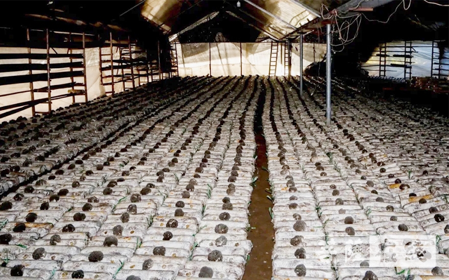 「佛教」绍兴市佛教界再次向结对帮扶民族村捐款20万元 「佛教」绍兴市佛教界再次向结对帮扶民族村捐款20万元