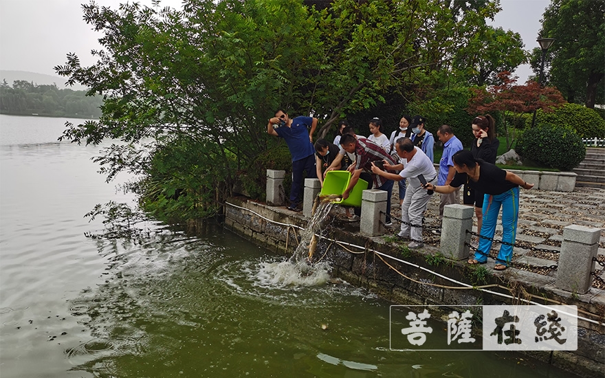 「佛教」徐州云龙山兴化禅寺举行观音七祝圣法会