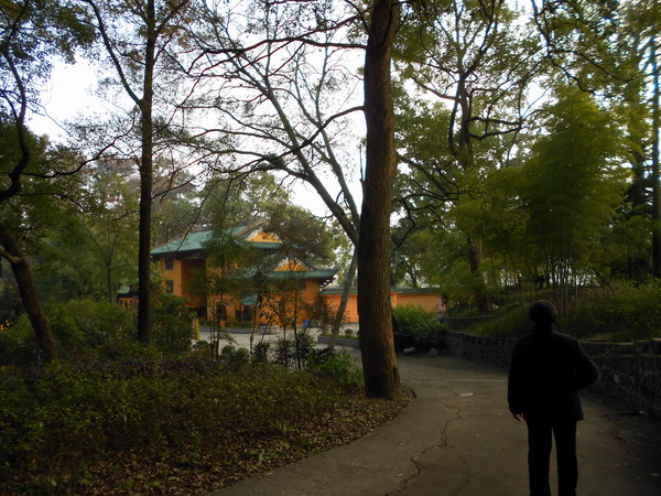 「南华寺」水月清梅：曹溪南华寺撷影