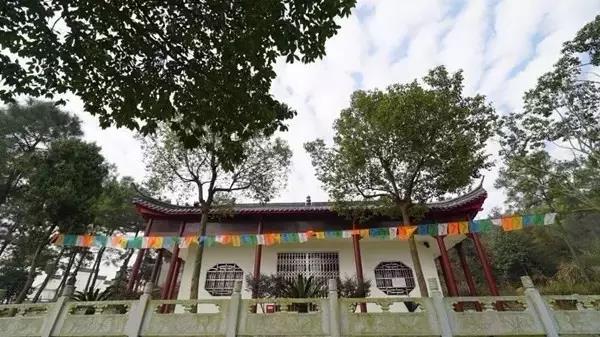 「佛教」安徽省宣城佛林净寺万佛认供