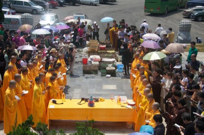「红安」武汉归元护生群联合红安天台寺举行大型放生法会 「红安」武汉归元护生群联合红安天台寺举行大型放生法会