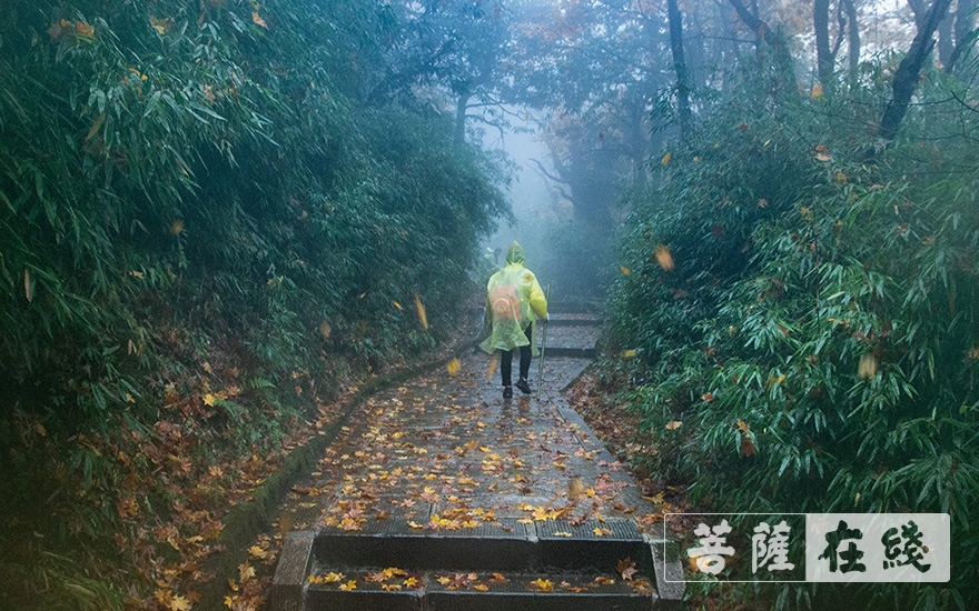 「峨眉山金顶」十月瑞雪飞金顶 万盏明灯供普贤 「峨眉山金顶」十月瑞雪飞金顶 万盏明灯供普贤