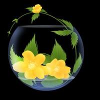 「王珩」冥冥之中有定数