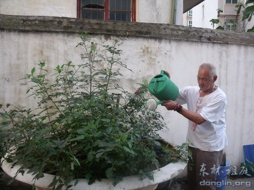 「佛教」东林慈善安养院“三安关怀”纪实报道之—我的快乐时光