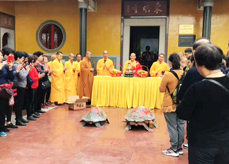 「佛教」偶识释道裕法师，浅说东明寺渊源