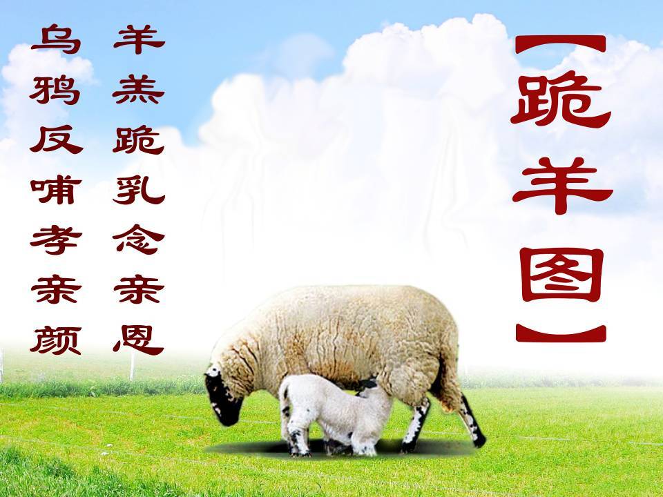 「乌鸦」羔羊跪乳乌鸦反哺的故事