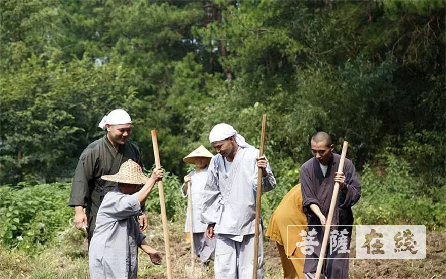 「五祖寺」农禅并重,在五祖寺可以追溯到1400多年前 「五祖寺」农禅并重,在五祖寺可以追溯到1400多年前
