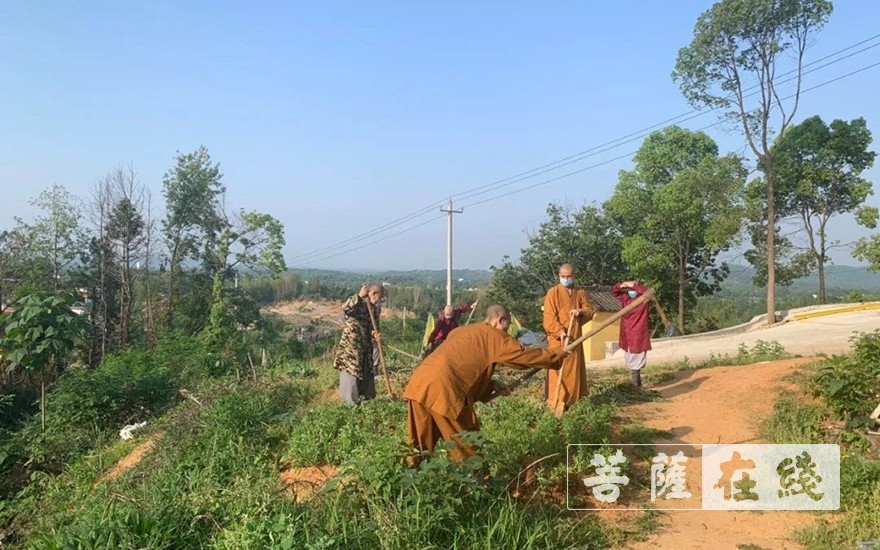 「佛教」抢抓农时,自力更生,湖北各寺掀起春耕生产热潮 「佛教」抢抓农时,自力更生,湖北各寺掀起春耕生产热潮