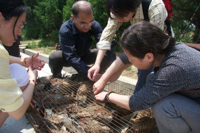 「红安」武汉归元护生群联合红安天台寺举行大型放生法会 「红安」武汉归元护生群联合红安天台寺举行大型放生法会