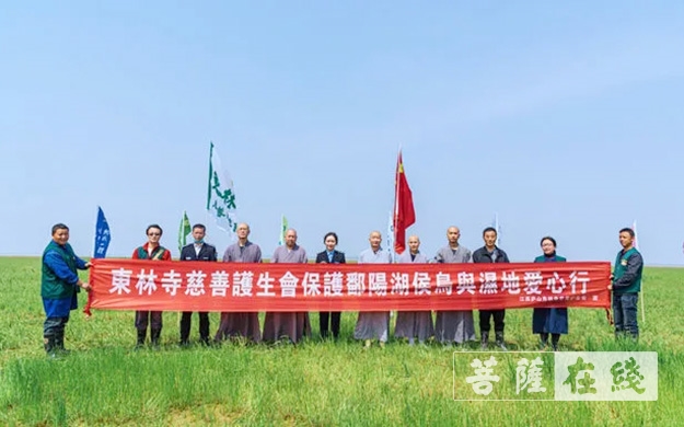 「东林寺」庐山东林寺尝试为白鹤种植“粮库” 「东林寺」庐山东林寺尝试为白鹤种植“粮库”