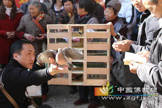 「佛教」云南大理佛图寺众心天香祈福法会圆满举行
