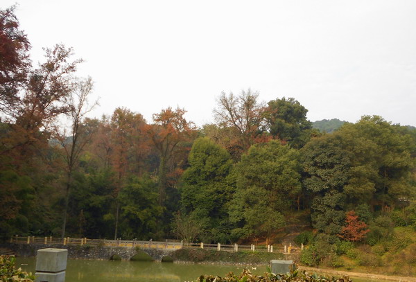 「南华寺」水月清梅：曹溪南华寺撷影