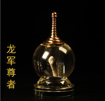「释迦牟尼」云峰寺供养佛舍利及诸圣者舍利首次开放