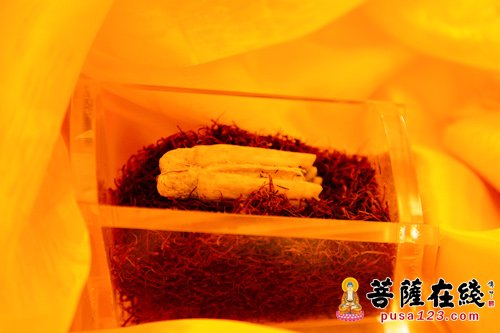 「释迦牟尼」东岩卓锡古寺迎请佛祖真身舍利供奉祈福法会