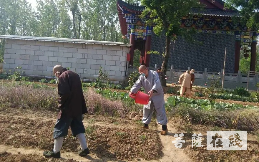 「佛教」抢抓农时,自力更生,湖北各寺掀起春耕生产热潮 「佛教」抢抓农时,自力更生,湖北各寺掀起春耕生产热潮
