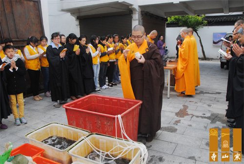 「寒山寺」江苏苏州寒山寺2015年青年佛学社五一共修活动圆满